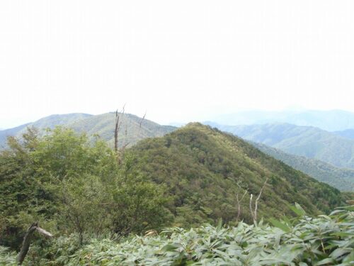 香仙原