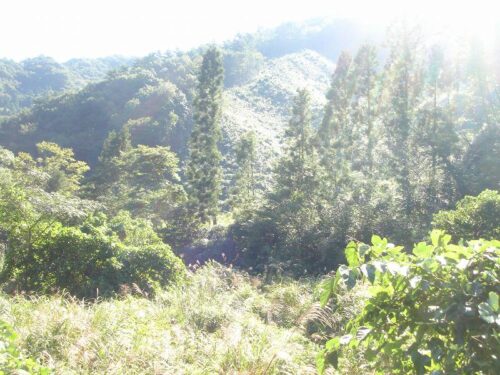 山の風景