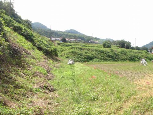 赤い鳥居