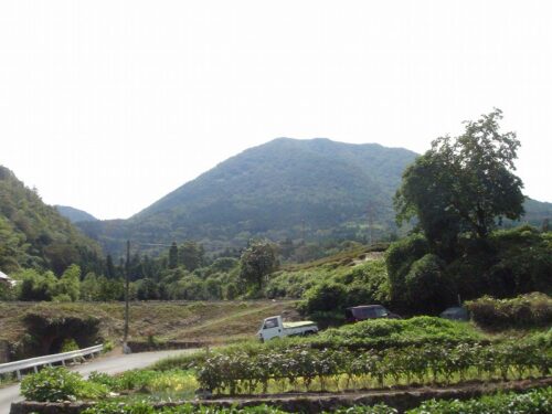 JR青野山駅近く