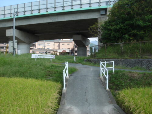 九州自動車道路をくぐる