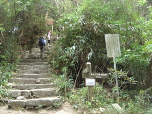 Dsc02467 登り道