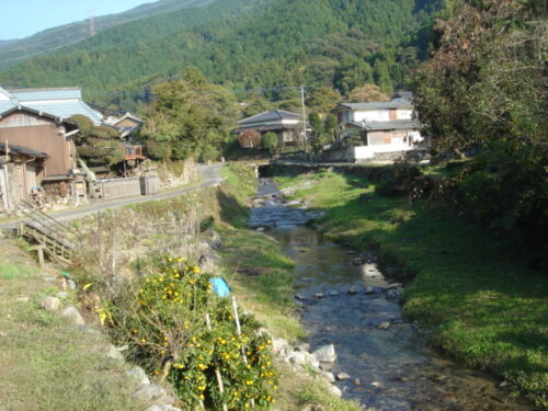 Dsc02513 秋月