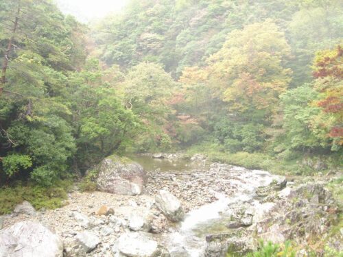 Dsc08498 匹見峡