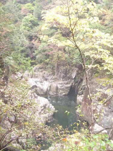 Dsc08504 匹見峡
