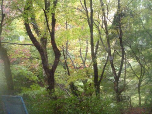 Dsc08564 双川峡