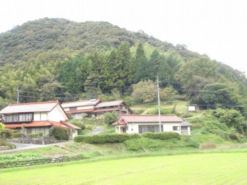町道から、山中へ