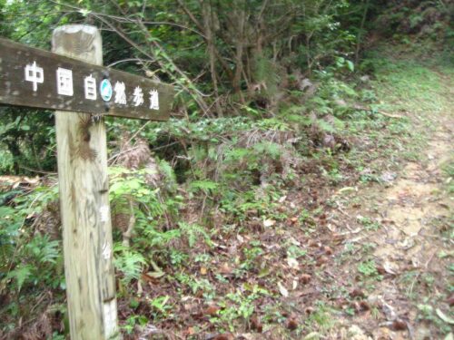 Dsc08638 道しるべ