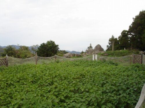 高城山