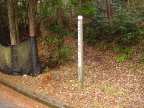 た道に迷い