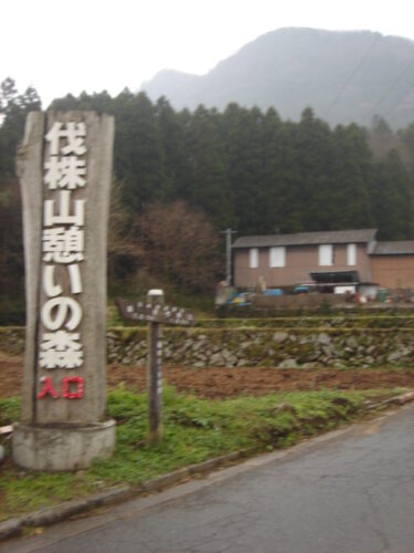 伐株山入口