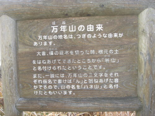 万年山由来