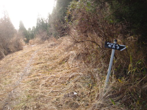 道を間違え