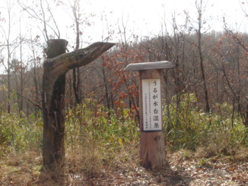 うるが水台