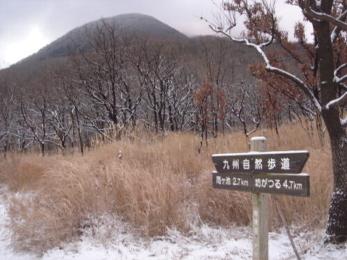 雪の道しるべ