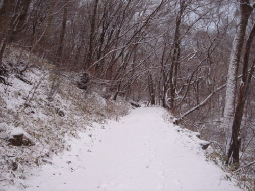雪の山道