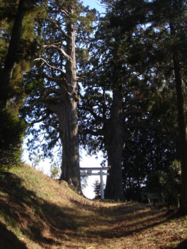 納池公園