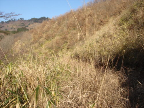 鳥屋付近