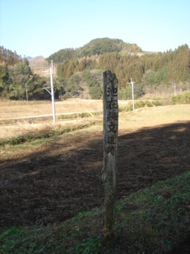 池在縄文遺跡
