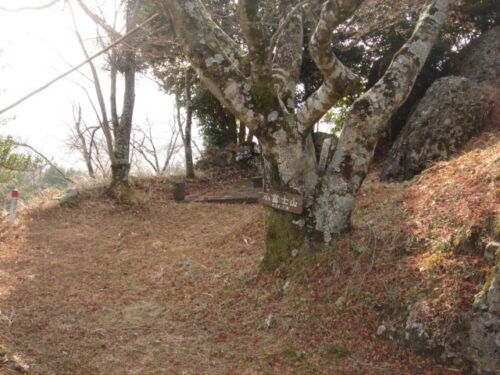 Dsc02922 小富士山山頂 456m