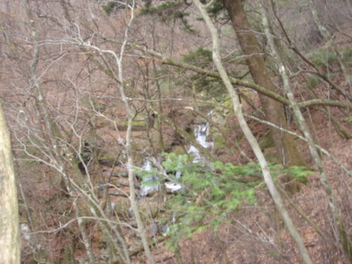 Dsc02954 山道