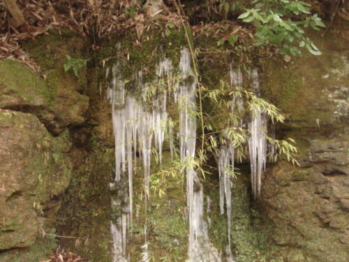 氷柱