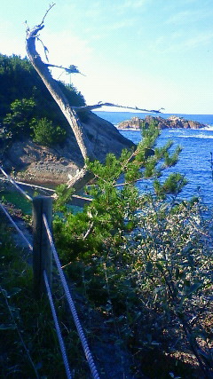 201111161338000 長浜海岸