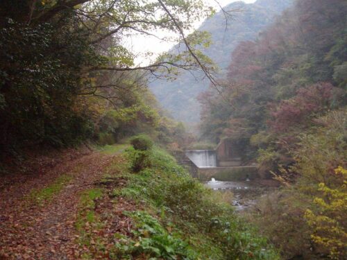Dsc08816 千丈渓の紅葉