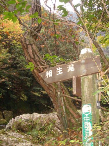 Dsc08824 道しるべ