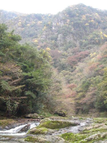 Dsc08825 千丈渓の紅葉
