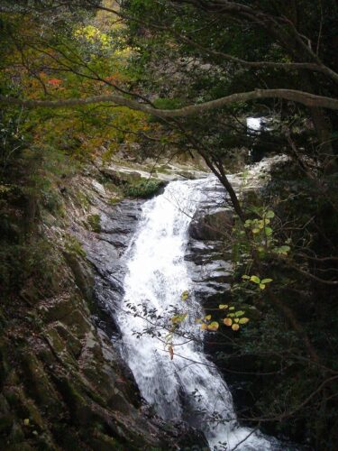 Dsc08839 千丈渓の紅葉