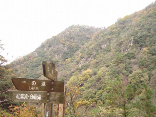 Dsc08842 道しるべ