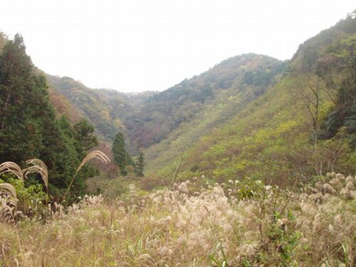 山々