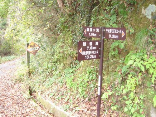 田津谷川上流