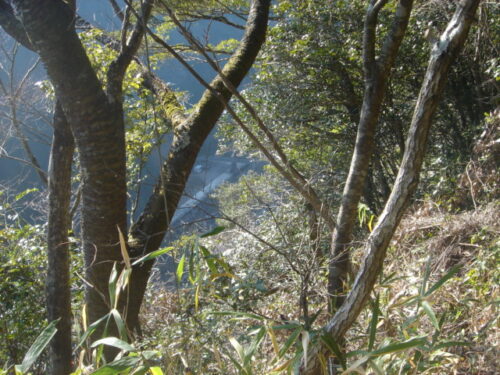 Dsc03063 眼下 高千穂峡谷五ヶ瀬川