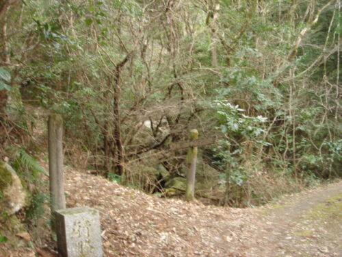 Dsc03113 山道