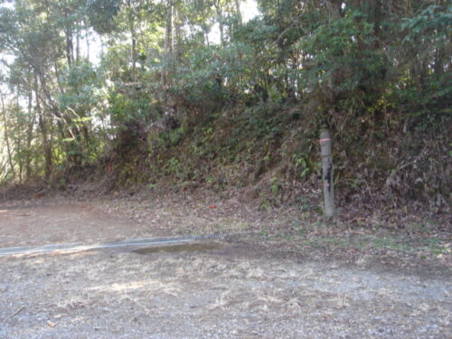 Dsc03174 鹿猪谷の尾根沿い