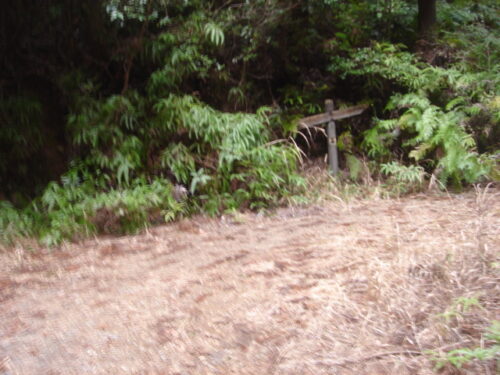 Dsc03186 山道