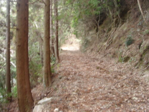 Dsc03187 山道