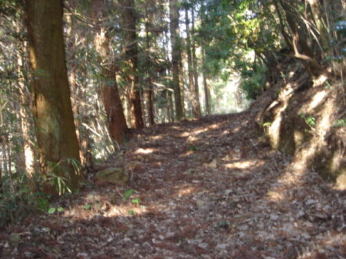 Dsc03196 耳川沿い