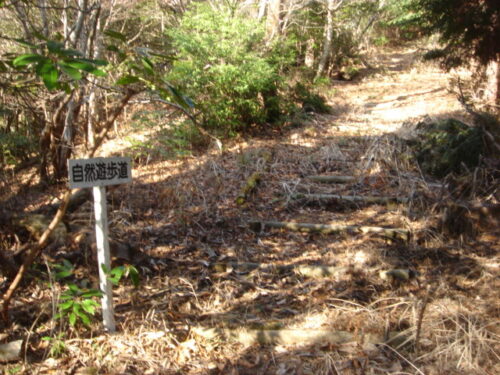 Dsc03229 自然歩道道しるべ