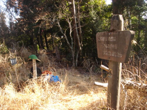 珍神山(823m)