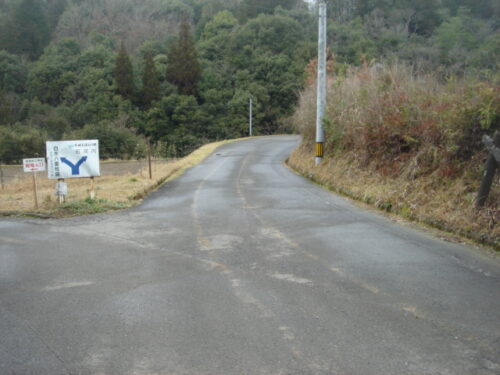 白木八重の分かれ道