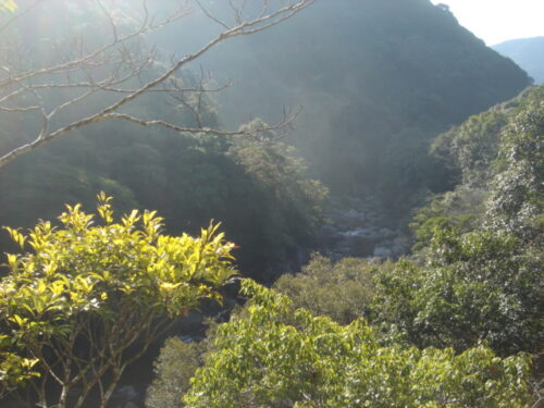 Dsc03278 渓谷