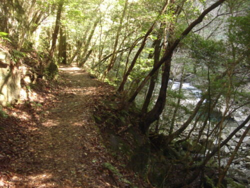 山道