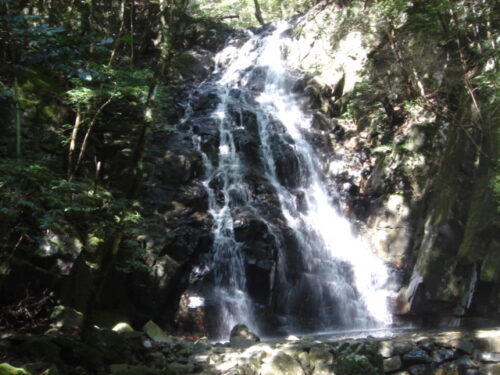 Dsc03289 矢研の滝