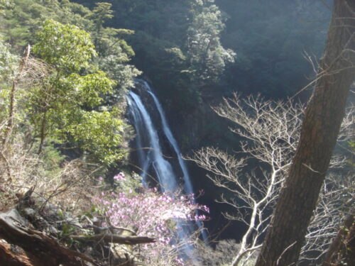 Dsc03291 矢研の滝