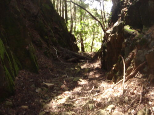 Dsc03292 矢研谷