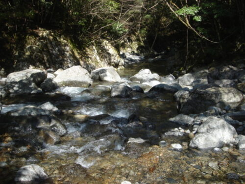 Dsc03300 石並川上流