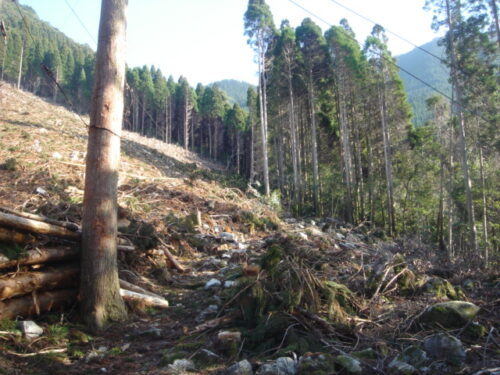 Dsc03306 山道